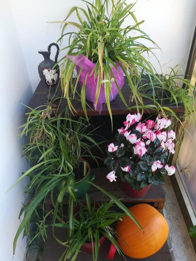 丘西La Terrazza公寓 外观 照片