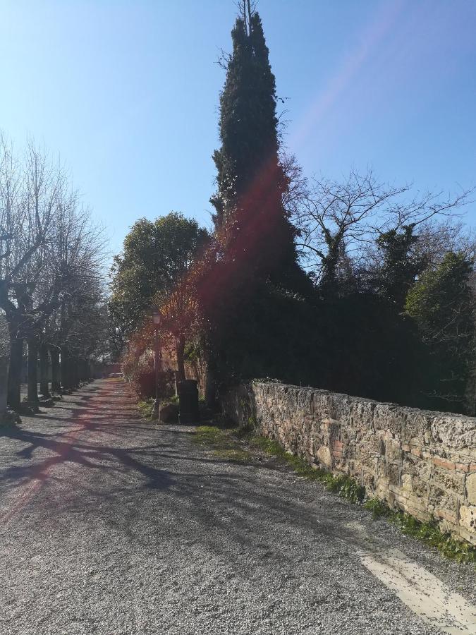 丘西La Terrazza公寓 外观 照片
